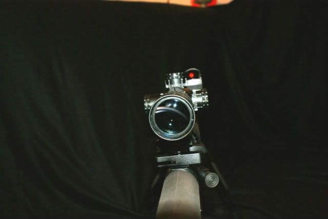014-1.jpg