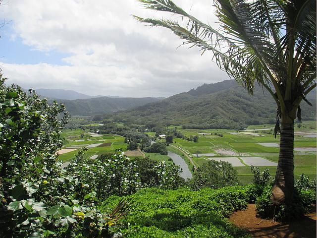 HawaiiHanaleivalley-resized_zpsd8d012d8.jpg