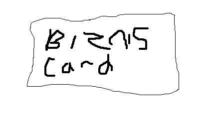 bizniscard.jpg