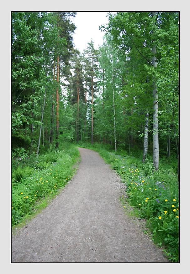 Summer_road_by_closer_to_heaven.jpg