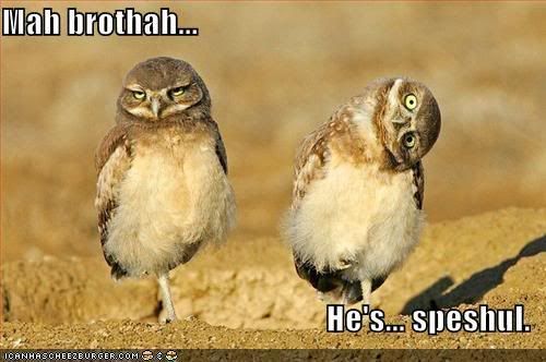 [Image: funny-pictures-owls-twisted-head.jpg]