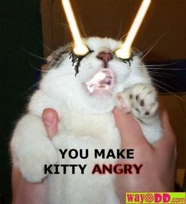 [Image: funny-pictures-super-angry-kitty-WQ.jpg]