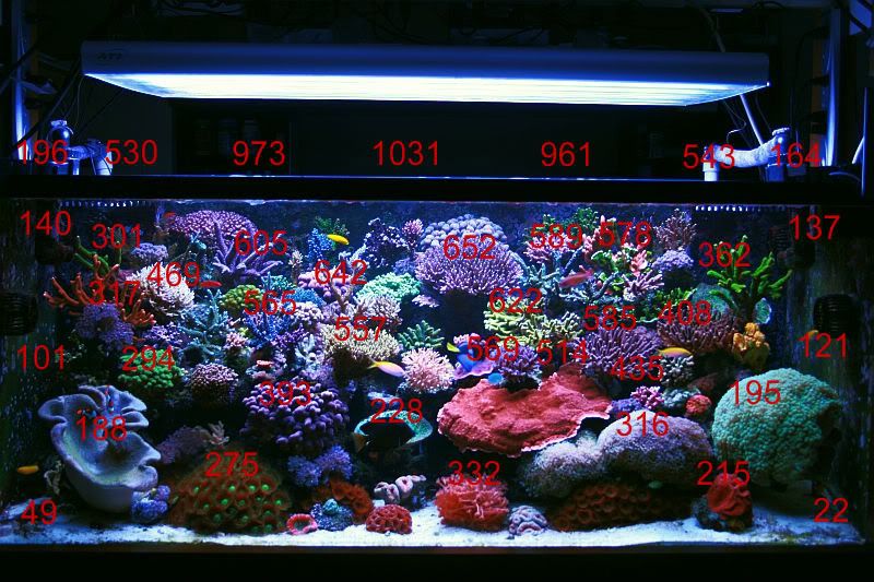 Is it about time to change the T5 light bulbs? Par meter readings Page 13 Reef Central