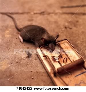 mouse-trap_71042422.jpg