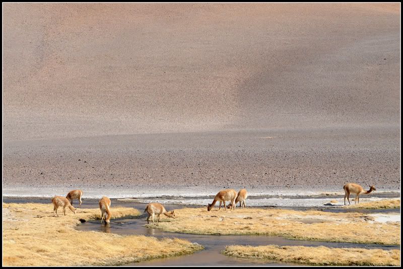 DSC_0820.jpg
