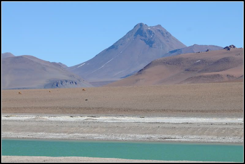 DSC_0822.jpg