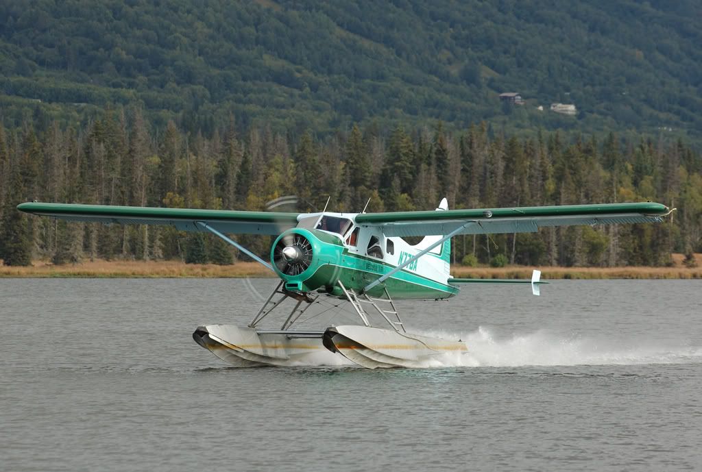 DSC_3945.jpg