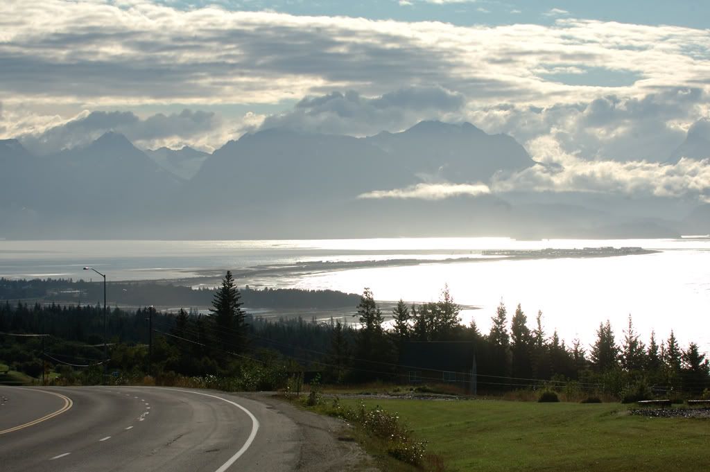 DSC_3993.jpg