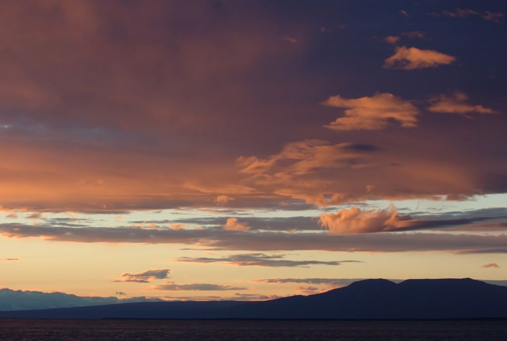 DSC_4015.jpg
