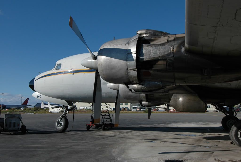 DSC_4051.jpg