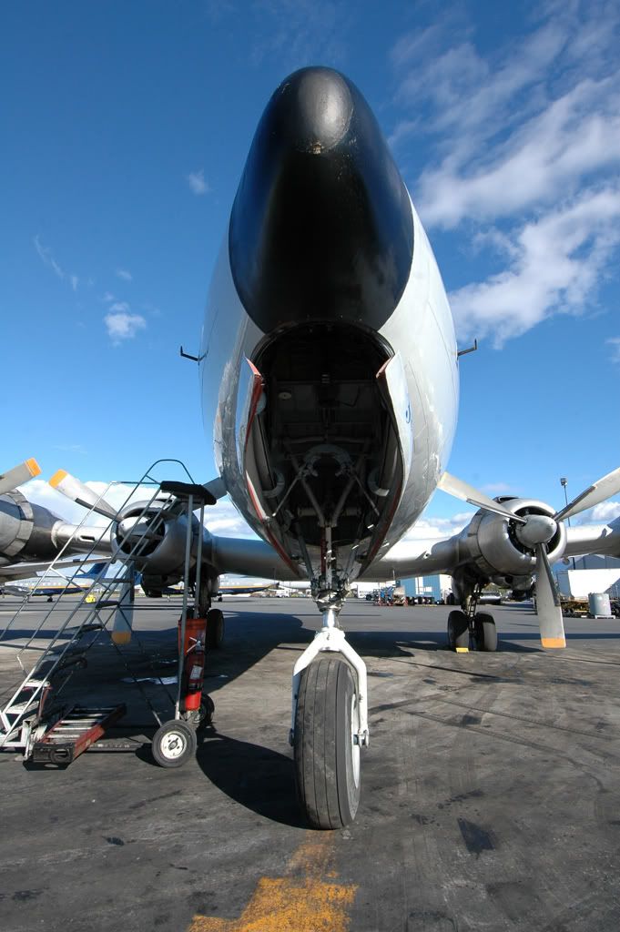 DSC_4055.jpg