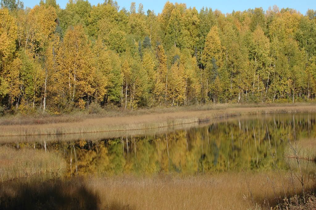 DSC_4095.jpg