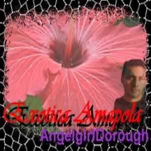Amapola300.jpg Exotic Amampola picture by AngelgirlDorough