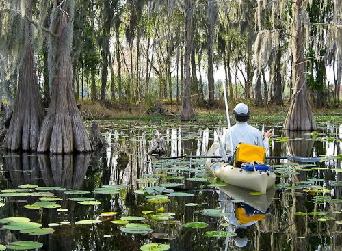 IMAGE: http://i43.photobucket.com/albums/e357/WhiskeyHotel/FCFFOutingLakeSampsonMar102007004-1.jpg