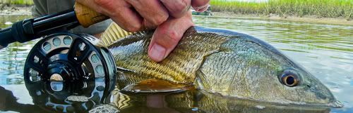 IMAGE: http://i43.photobucket.com/albums/e357/WhiskeyHotel/IMGP2150-500.jpg