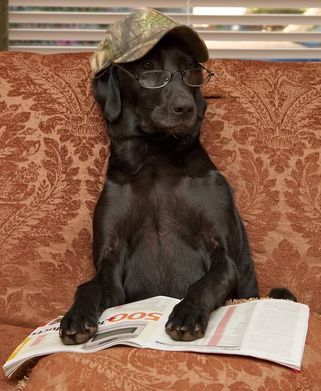 IMAGE: http://i43.photobucket.com/albums/e357/WhiskeyHotel/IMG_3337WH1.jpg