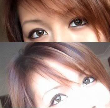 freshlook autumn contacts