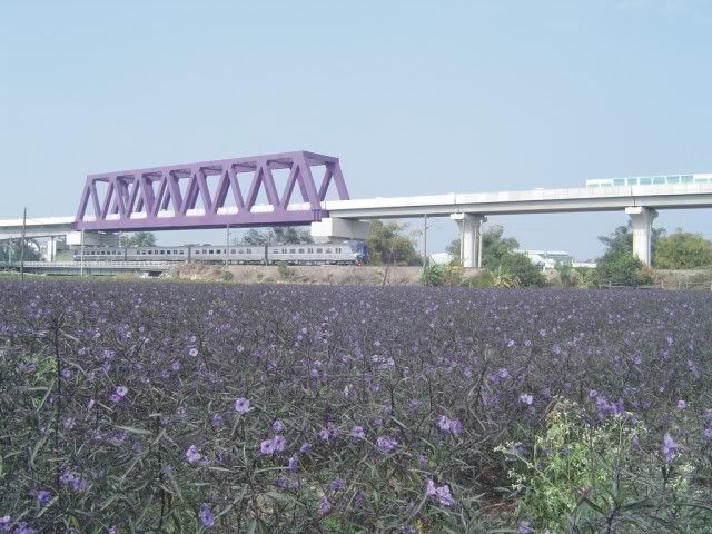 圖檔