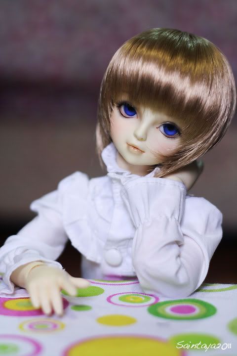 Posted Image