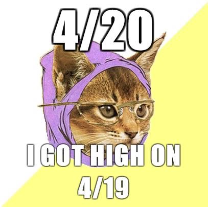 hipster-kitty-420.jpg
