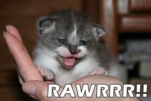 rawrrr.jpg