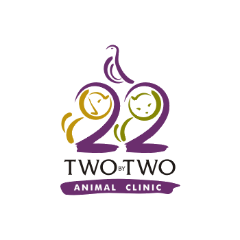 2x2 Animal Clinic Concept 1