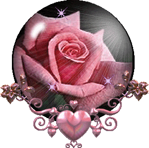 shiny rose Pictures, Images and Photos