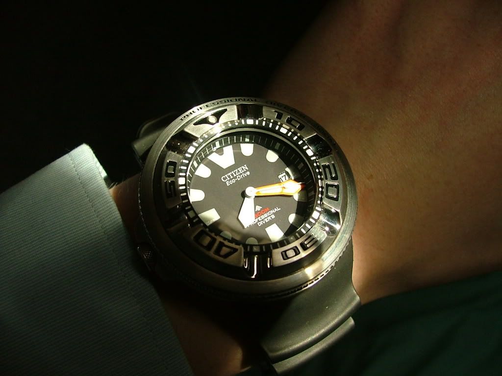 Has anyone ever used the Citizen EcoZilla for Diving