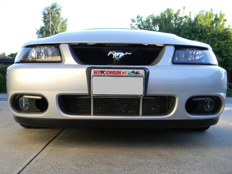 http://i43.photobucket.com/albums/e363/CraxIgorE/2003%20Mustang%20SVT%20Cobra/Cobra029.jpg