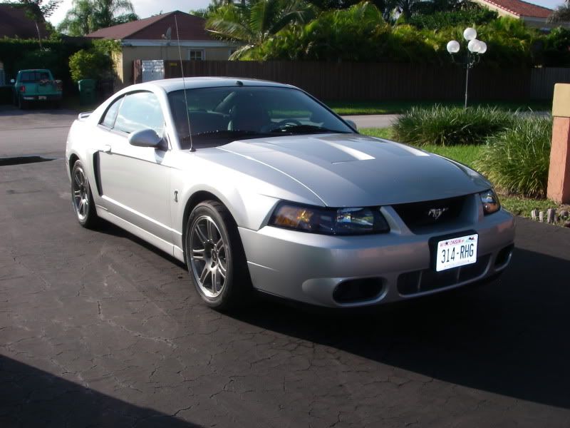 http://i43.photobucket.com/albums/e363/CraxIgorE/2003%20Mustang%20SVT%20Cobra/IMGP5285.jpg?t=1262181479