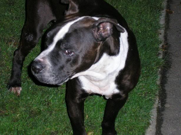 marley20011.jpg