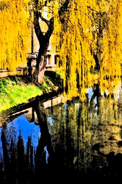 IMAGE: http://i43.photobucket.com/albums/e363/cabbage2003/meadowducks_91copy-2.jpg