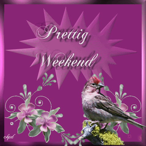 pw12b.gif