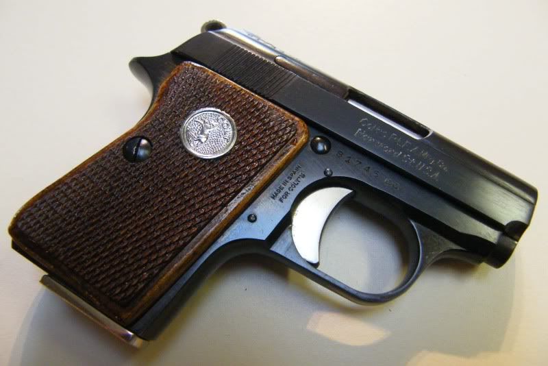 juniorCOLT25_4733.jpg