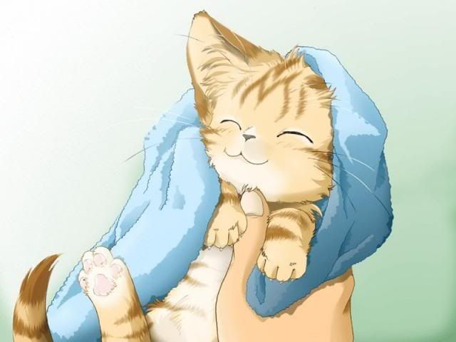 18.jpg Anime kitty image by Tai92