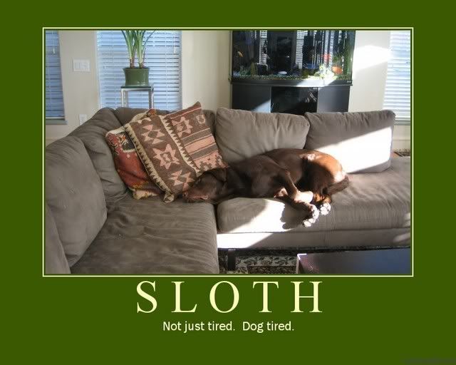 sloth motivational poster