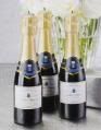 champagnebottle.jpg