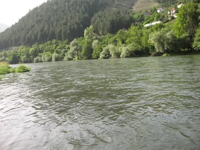 IMG_3601.jpg