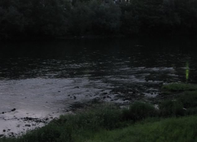 IMG_3621.jpg