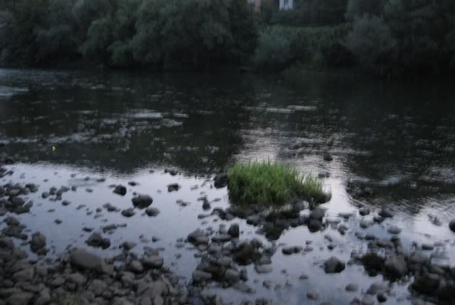 IMG_3624.jpg