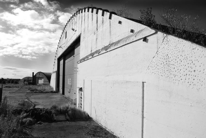 http://i43.photobucket.com/albums/e369/PRoweB/hangar3BW.jpg