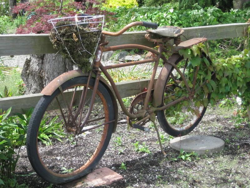 Challenger Bike