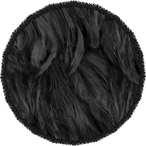  photo Black Feather Round Rug.png