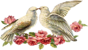  photo Love Doves.png