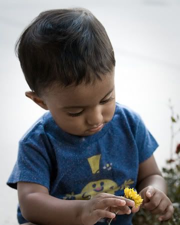 IMAGE: http://i43.photobucket.com/albums/e370/christyjo2/02b8bcc2.jpg