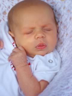 IMAGE: http://i43.photobucket.com/albums/e370/christyjo2/IMG_1306-2.jpg