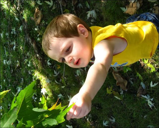 IMAGE: http://i43.photobucket.com/albums/e370/christyjo2/aydanpick.jpg