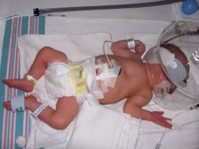 IMAGE: http://i43.photobucket.com/albums/e370/christyjo2/kylianne/100_0251.jpg