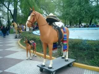 Caballo Fotogenico