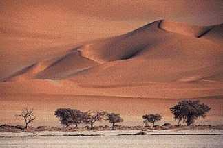 desert Pictures, Images and Photos